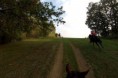 /album/foto1/dsc-0606-2-11-jpg/